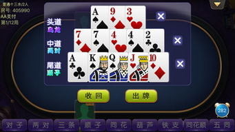 十大娱乐网赌老平台十三水游戏规则 网上十大娱乐网址十三水游戏规则