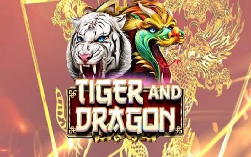 龙虎斗如何玩 - 获胜投注 2 龙虎斗如何玩 - 获胜投注