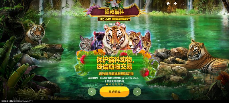 拯救猫科巨额赢利线:加入冒险,收获无尽财富与惊喜! 3 游戏介绍