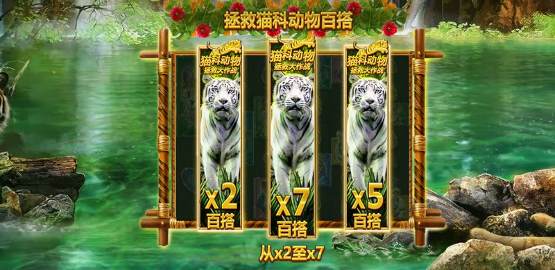 拯救猫科巨额赢利线:加入冒险,收获无尽财富与惊喜! 5 拯救猫科动物百搭