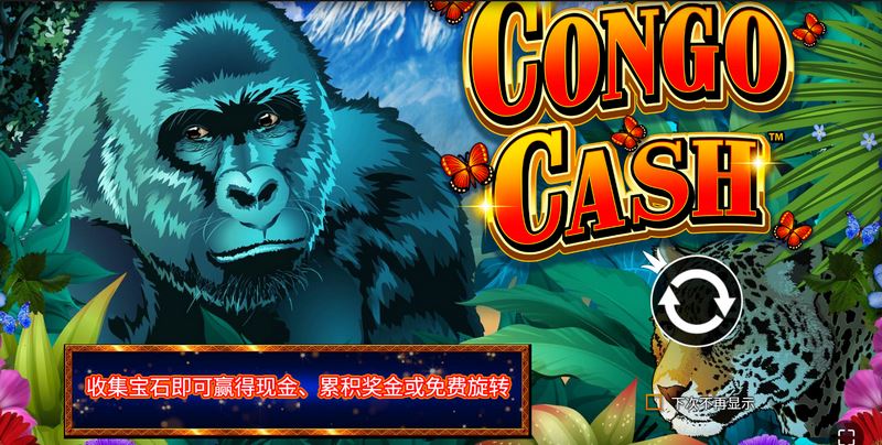 《刚果财富》:探险热带丛林,挖掘真正的宝藏! 3 游戏介绍