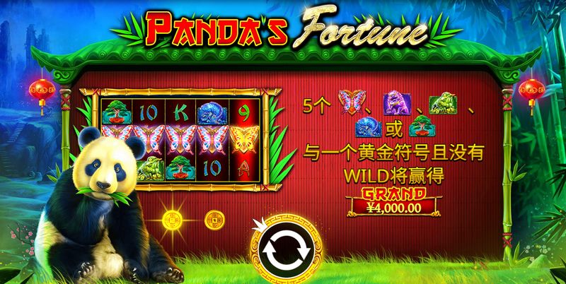 《熊猫财富》——开启属于你的国宝传奇! 3 游戏介绍