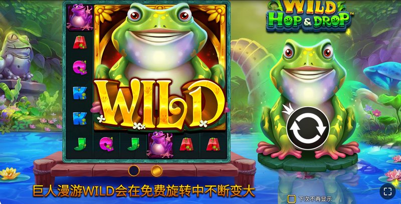 狂野蹦跳青蛙——跳出精彩,赢取疯狂大奖! 4 WILD符号