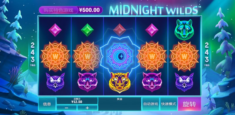 《午夜百搭》——在黑夜中点燃你的惊喜与好运! 3 游戏介绍