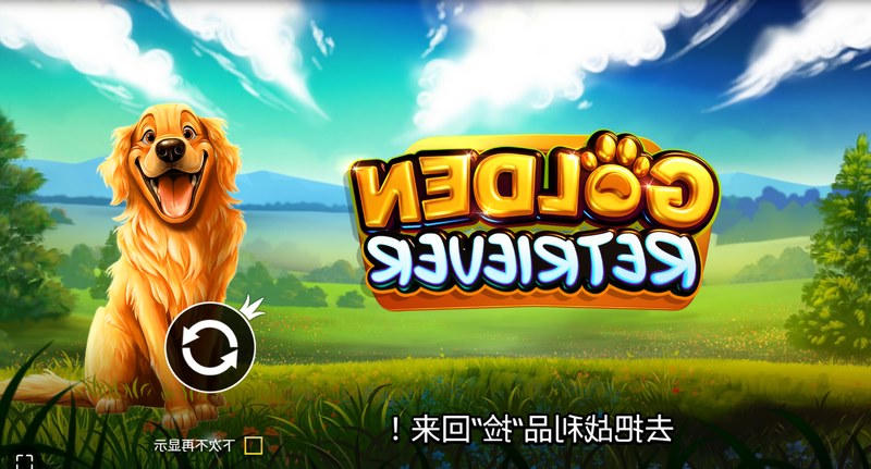 《黄金猎犬》:开启你的专属治愈系冒险与财富之旅! 1 网上十大娱乐网址