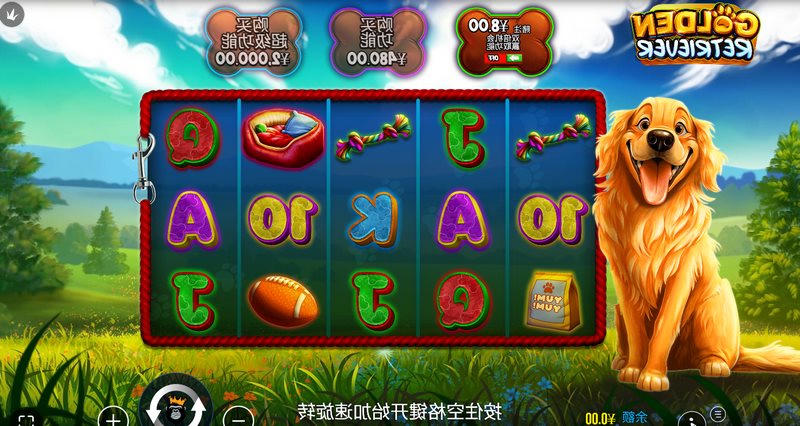 《黄金猎犬》:开启你的专属治愈系冒险与财富之旅! 3 网上十大娱乐网址